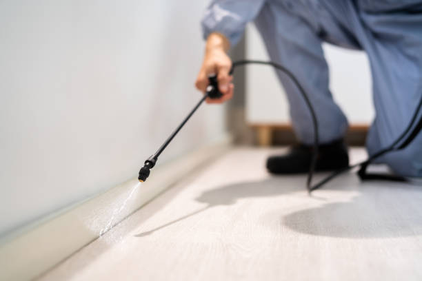 Licensed Wasp Removal service in Uniontown, AL - Show Me Pest Control