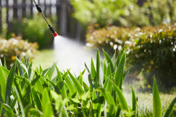 24/7 Emergency Wasp Removal experts in Uniontown, AL