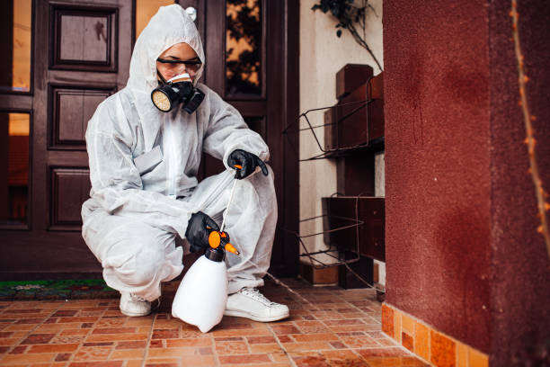 Reliable Wasp Removal contractor in Uniontown, AL by Show Me Pest Control